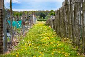 Allotments