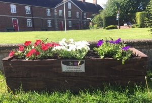 Jubilee Planters