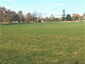 St Oswald's Park